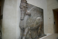 Assyrian Bull