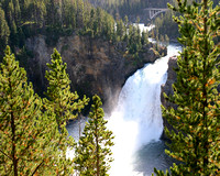 Lower Falls Yellowstone NP